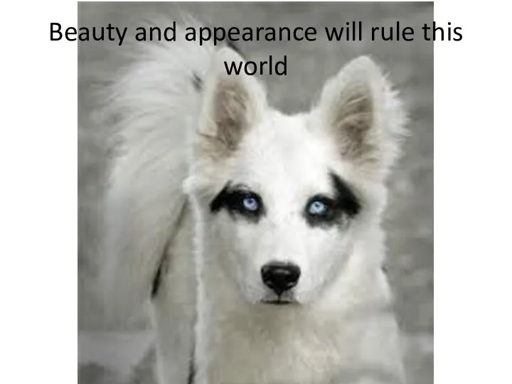 Beauty and appearance will rule this world