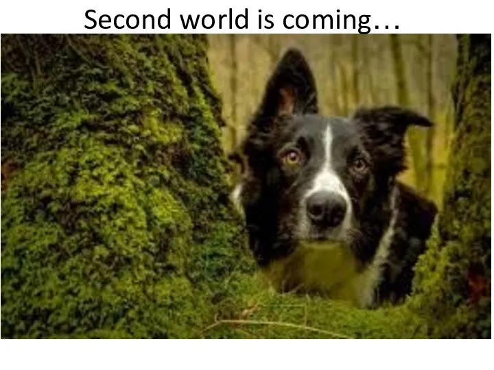 Second world is coming…