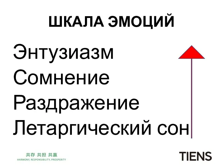 ШКАЛА ЭМОЦИЙ Энтузиазм Сомнение Раздражение Летаргический сон