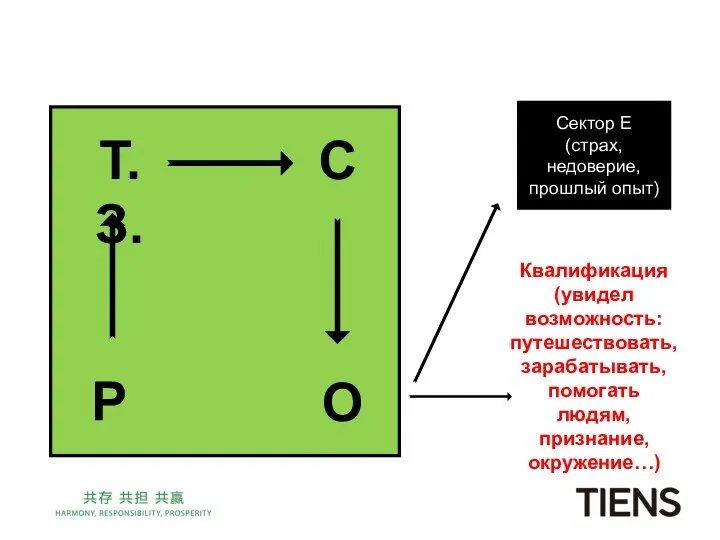 Сектор Е (страх, недоверие, прошлый опыт) Т.З. Р С О Квалификация (увидел