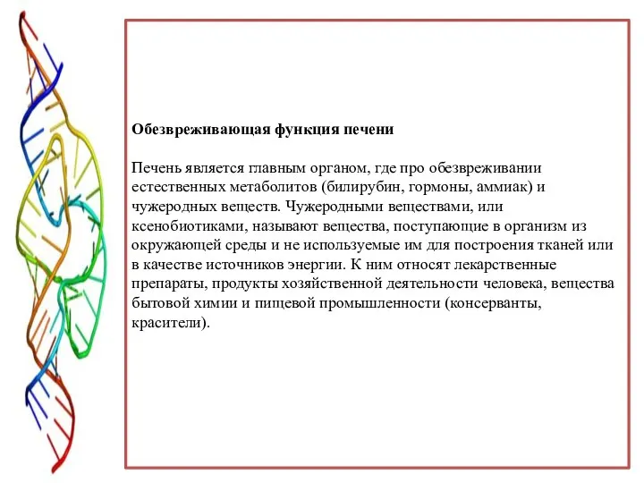 Обезвреживающая функция печени Печень является главным органом, где про обезвреживании естественных метаболитов