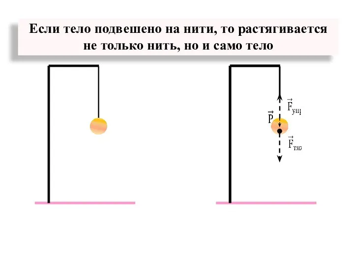 Если тело подвешено на нити, то растягивается не только нить, но и само тело