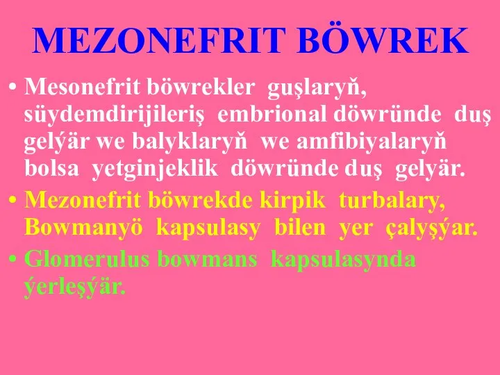 MEZONEFRIT BÖWREK Mesonefrit böwrekler guşlaryň, süydemdirijileriş embrional döwründe duş gelýär we balyklaryň