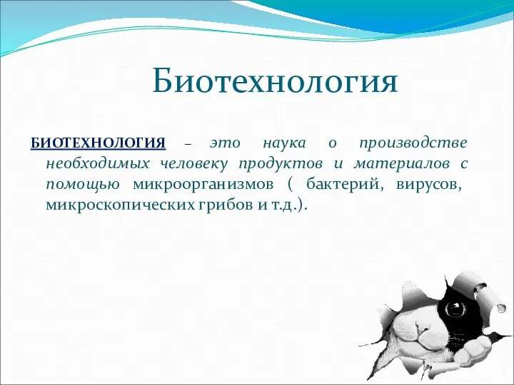 Биотехнология БИОТЕХНОЛОГИЯ – это наука о производстве необходимых человеку продуктов и материалов