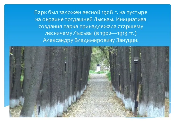 Парк был заложен весной 1908 г. на пустыре на окраине тогдашней Лысьвы.