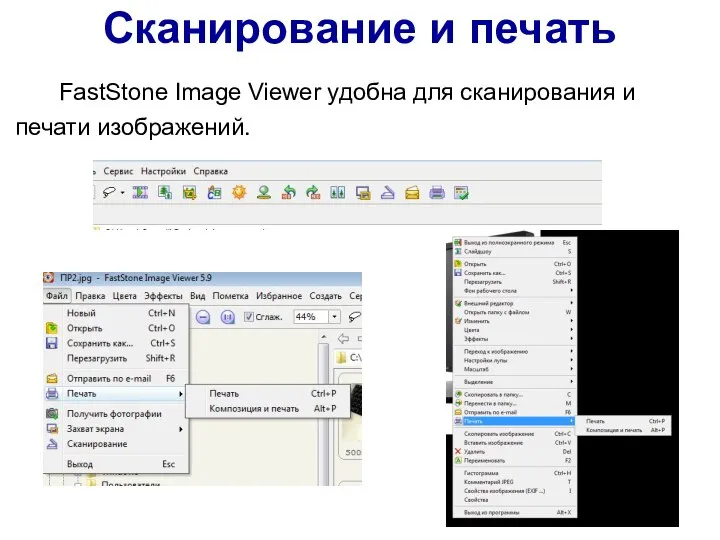 Сканирование и печать FastStone Image Viewer удобна для сканирования и печати изображений.