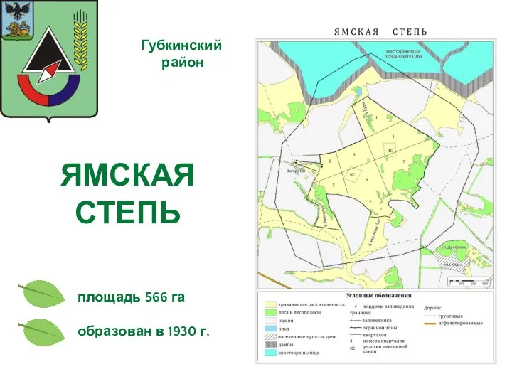 ЯМСКАЯ СТЕПЬ площадь 566 га Губкинский район образован в 1930 г.