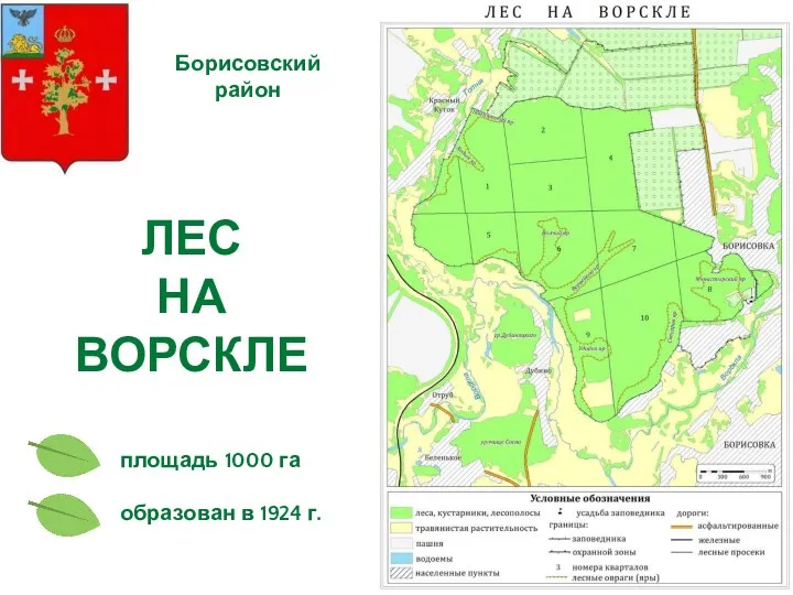 ЛЕС НА ВОРСКЛЕ площадь 1000 га Борисовский район образован в 1924 г.