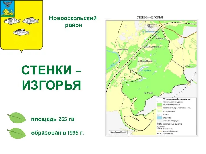 СТЕНКИ – ИЗГОРЬЯ площадь 265 га Новооскольский район образован в 1995 г.