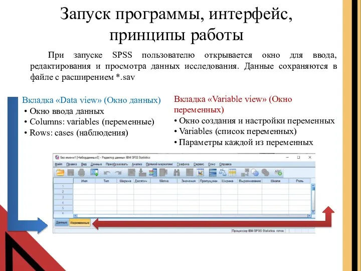 При запуске SPSS пользователю открывается окно для ввода, редактирования и просмотра данных