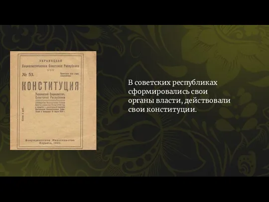 В советских республиках сформировались свои органы власти, действовали свои конституции.