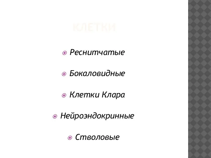 КЛЕТКИ Реснитчатые Бокаловидные Клетки Клара Нейроэндокринные Стволовые