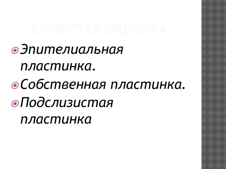 СЛИЗИСТАЯ ОБОЛОЧКА: Эпителиальная пластинка. Собственная пластинка. Подслизистая пластинка