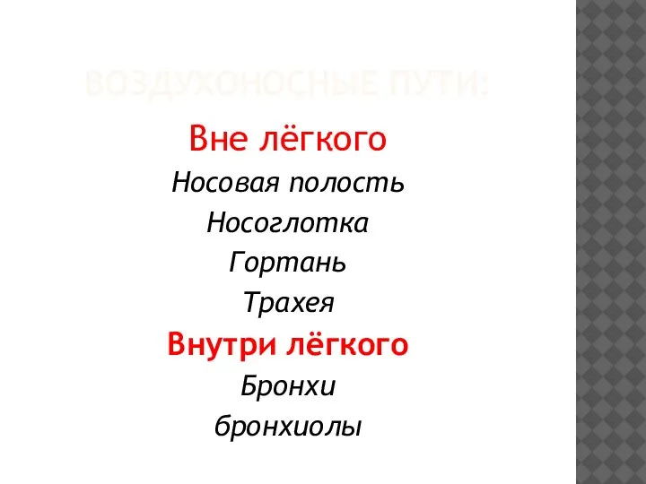 ВОЗДУХОНОСНЫЕ ПУТИ: Вне лёгкого Носовая полость Носоглотка Гортань Трахея Внутри лёгкого Бронхи бронхиолы