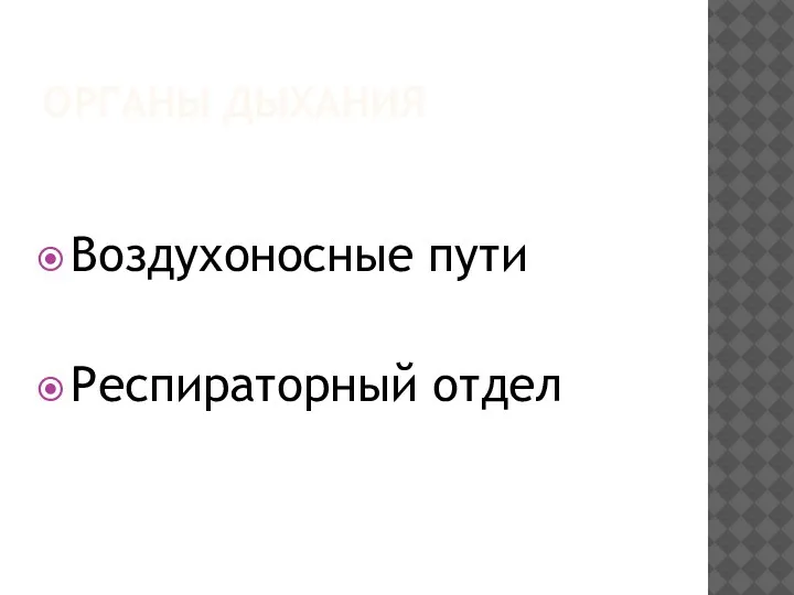 ОРГАНЫ ДЫХАНИЯ Воздухоносные пути Респираторный отдел