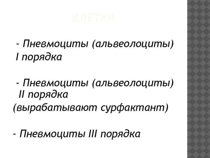 КЛЕТКИ - Пневмоциты (альвеолоциты) I порядка - Пневмоциты (альвеолоциты) II порядка (вырабатывают