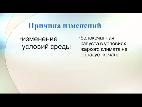 Причина изменений изменение условий среды белокочанная капуста в условиях жаркого климата не образует кочана.