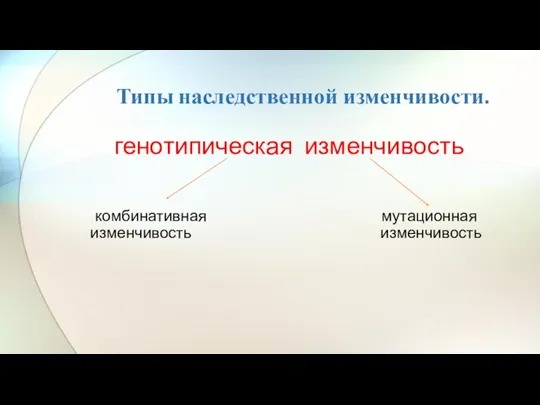 Типы наследственной изменчивости. генотипическая изменчиво­сть комбинативная мутационная изменчивость изменчивость