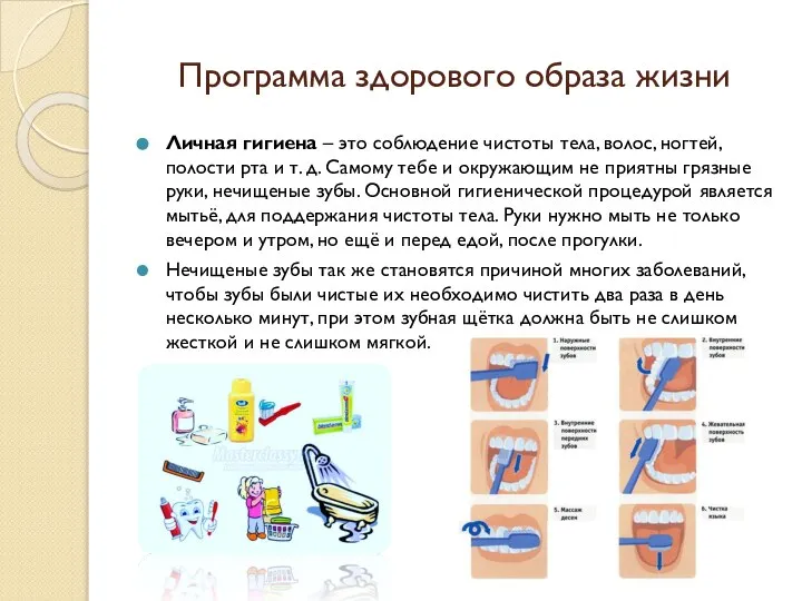 Программа здорового образа жизни Личная гигиена – это соблюдение чистоты тела, волос,