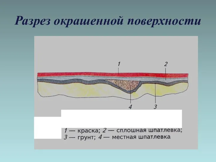 Разрез окрашенной поверхности