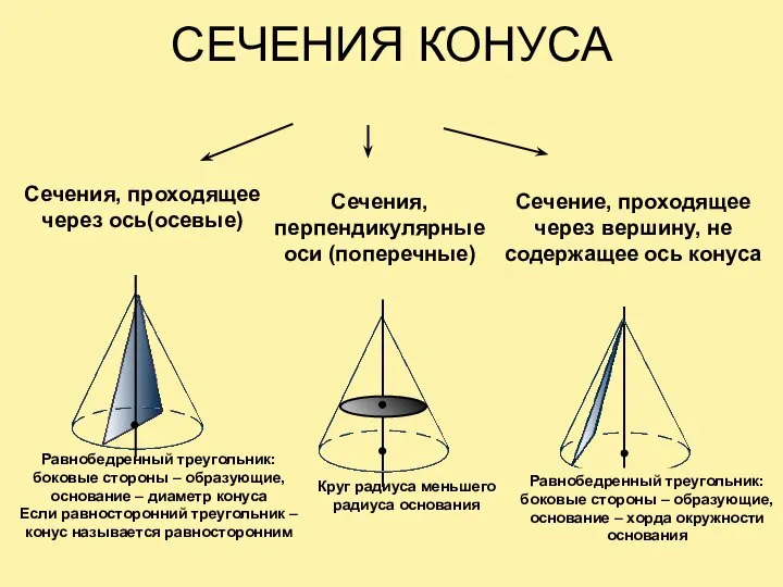 СЕЧЕНИЯ КОНУСА Сечения, проходящее через ось(осевые) Сечения, перпендикулярные оси (поперечные) Сечение, проходящее