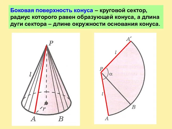 Боковая поверхность конуса – круговой сектор, радиус которого равен образующей конуса, а