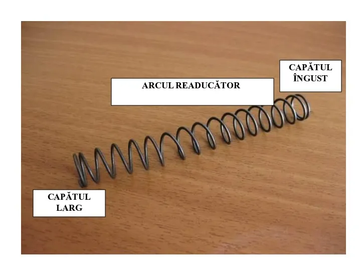 ARCUL READUCĂTOR CAPĂTUL ÎNGUST CAPĂTUL LARG