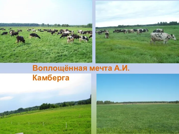 Воплощённая мечта А.И. Камберга