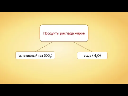 вода (Н2O) углекислый газ (CO2) Продукты распада жиров