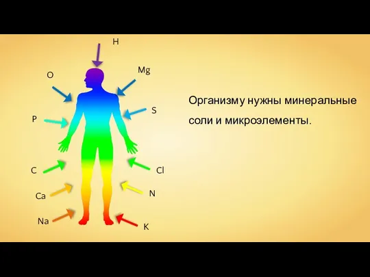 Организму нужны минеральные соли и микроэлементы. H O P C Ca Na