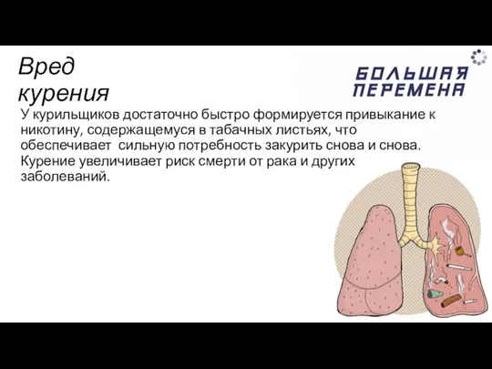 Вред курения У курильщиков достаточно быстро формируется привыкание к никотину, содержащемуся в