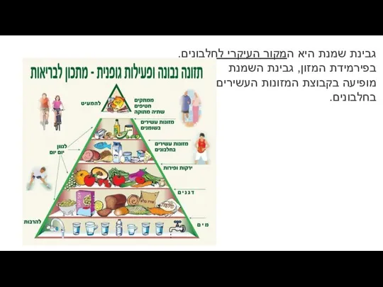 גבינת שמנת היא המקור העיקרי לחלבונים. בפירמידת המזון, גבינת השמנת מופיעה בקבוצת המזונות העשירים בחלבונים.