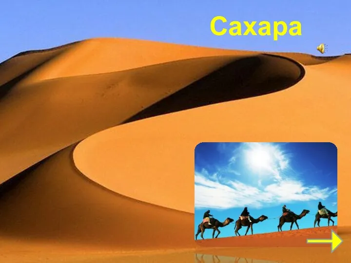 Сахара