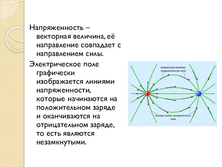 Напряженность – векторная величина, её направление совпадает с направлением силы. Электрическое поле