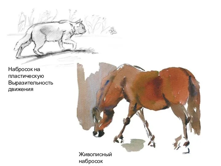 Набросок на пластическую Выразительность движения Живописный набросок