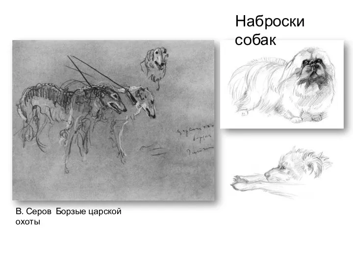 В. Серов Борзые царской охоты Наброски собак