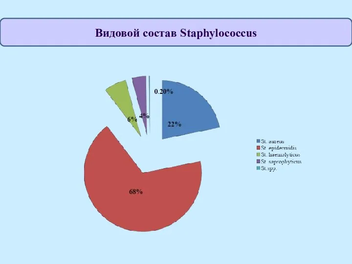 Видовой состав Staphylococcus