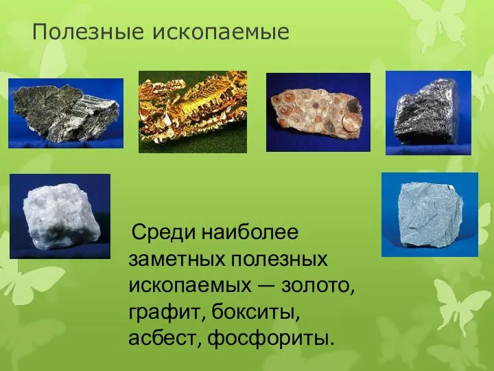 Полезные ископаемые Среди наиболее заметных полезных ископаемых — золото, графит, бокситы, асбест, фосфориты.