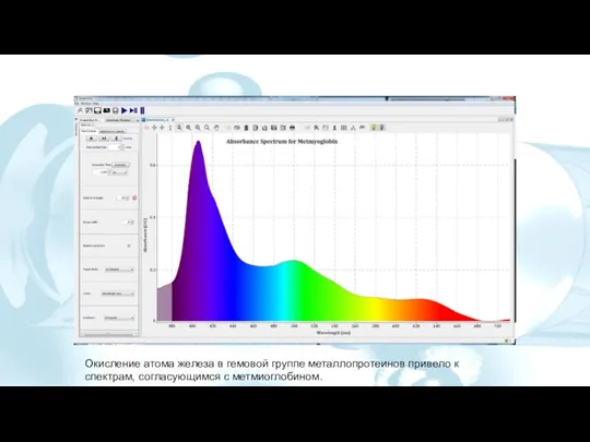 Окисление атома железа в гемовой группе металлопротеинов привело к спектрам, согласующимся с метмиоглобином.