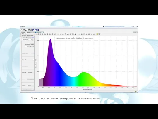 Спектр поглощения цитохрома с после окисления