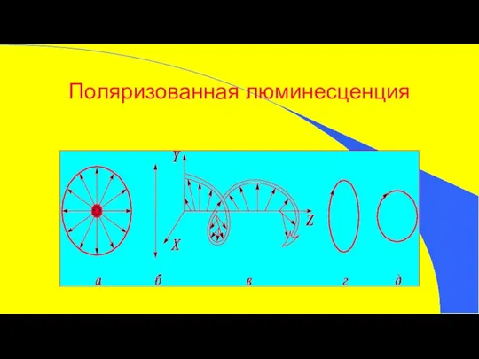 Поляризованная люминесценция