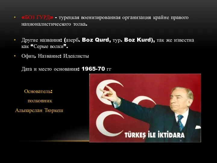 «БОЗ ГУРД» - турецкая военизированная организация крайне правого националистического толка. Другие названия: