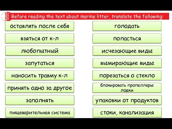 Before reading the text about marine litter, translate the following: to leave