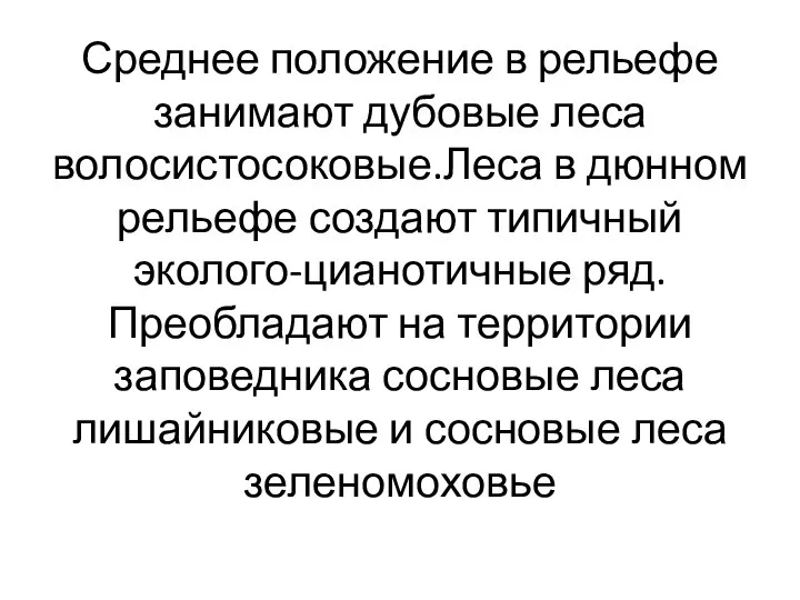 Среднее положение в рельефе занимают дубовые леса волосистосоковые.Леса в дюнном рельефе создают