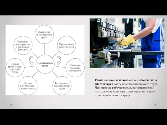 Рациональное использование рабочей силы способствует росту производительности труда. Чем меньше рабочее время,