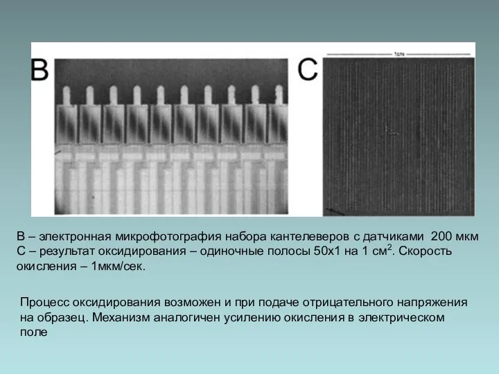 Процесс оксидирования возможен и при подаче отрицательного напряжения на образец. Механизм аналогичен