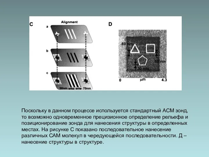 Поскольку в данном процессе используется стандартный АСМ зонд, то возможно одновременное прецизионное