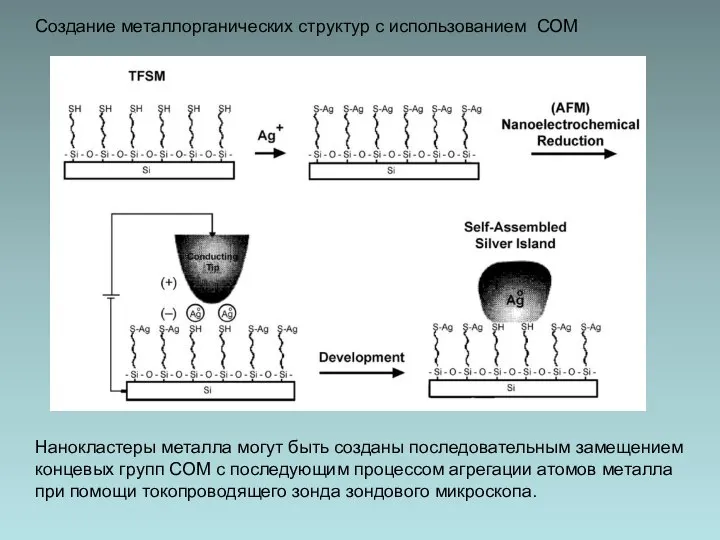 Создание металлорганических структур с использованием СОМ Нанокластеры металла могут быть созданы последовательным