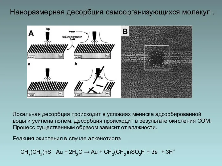 Наноразмерная десорбция самоорганизующихся молекул . Локальная десорбция происходит в условиях мениска адсорбированной