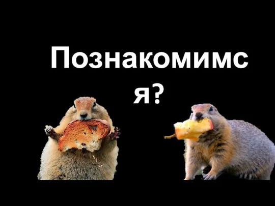 Познакомимся?